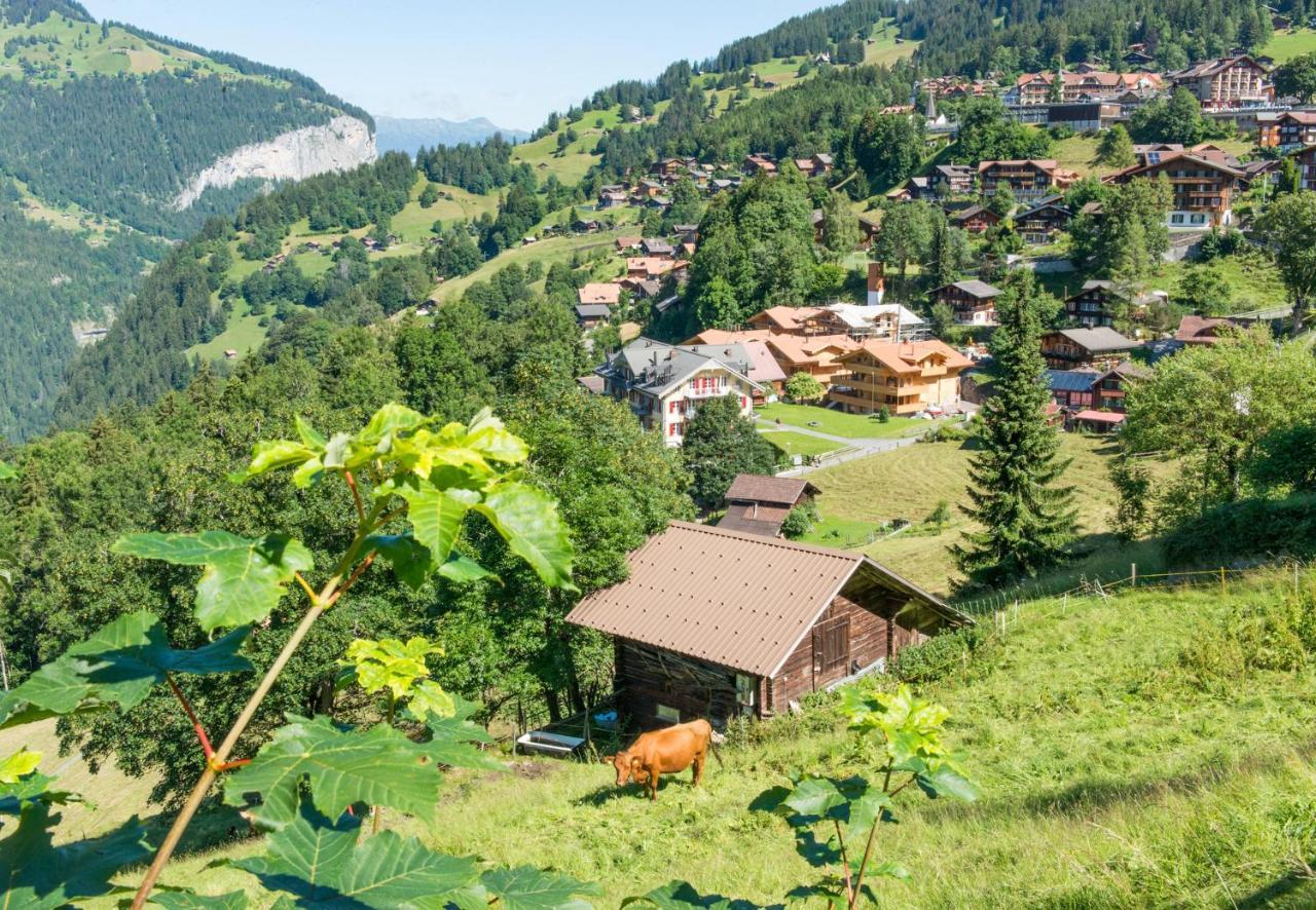 Panoramapark Soleil Chalet E Wengen Exterior photo